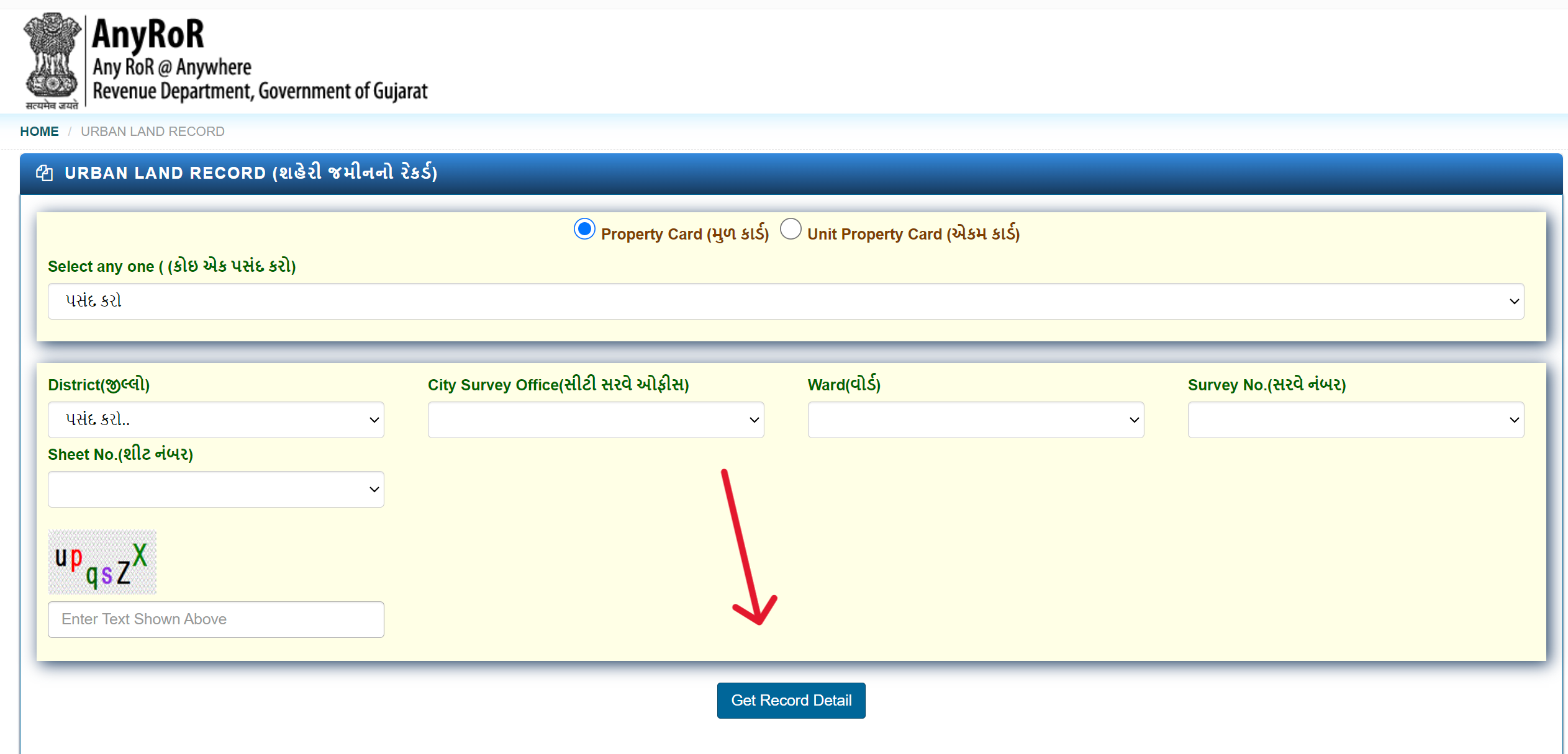 Get Record Details